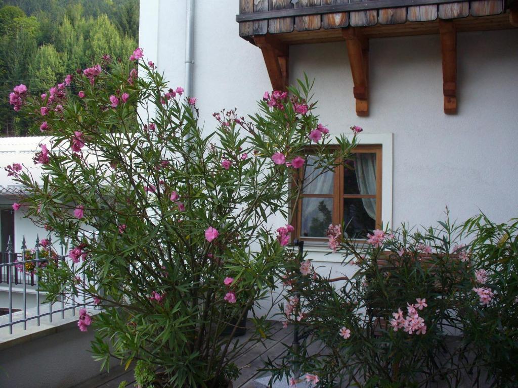 Mitschighof - Apartments Und Pension - Heidis-Welt, Mitschig Хермагор Стая снимка