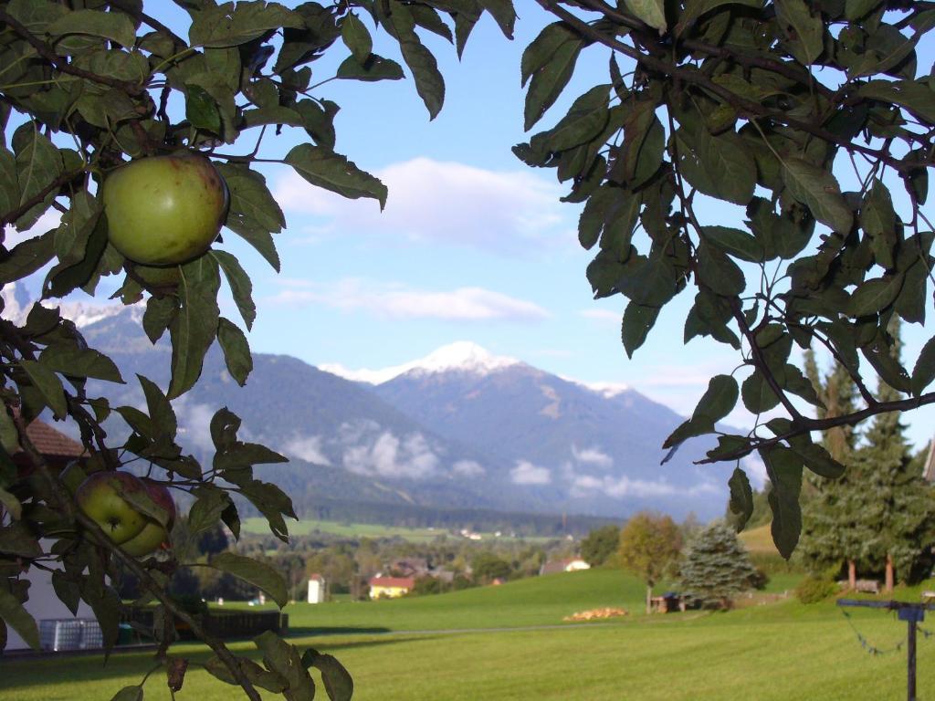 Mitschighof - Apartments Und Pension - Heidis-Welt, Mitschig Хермагор Екстериор снимка