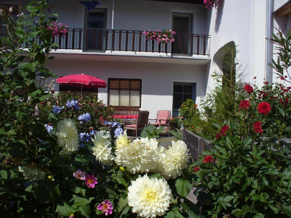 Mitschighof - Apartments Und Pension - Heidis-Welt, Mitschig Хермагор Екстериор снимка