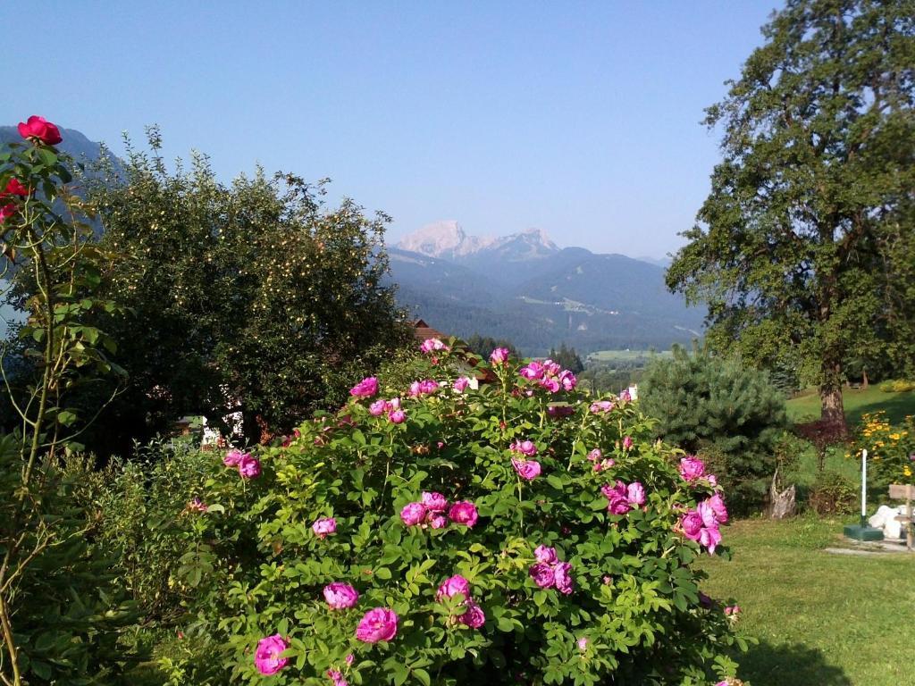 Mitschighof - Apartments Und Pension - Heidis-Welt, Mitschig Хермагор Екстериор снимка